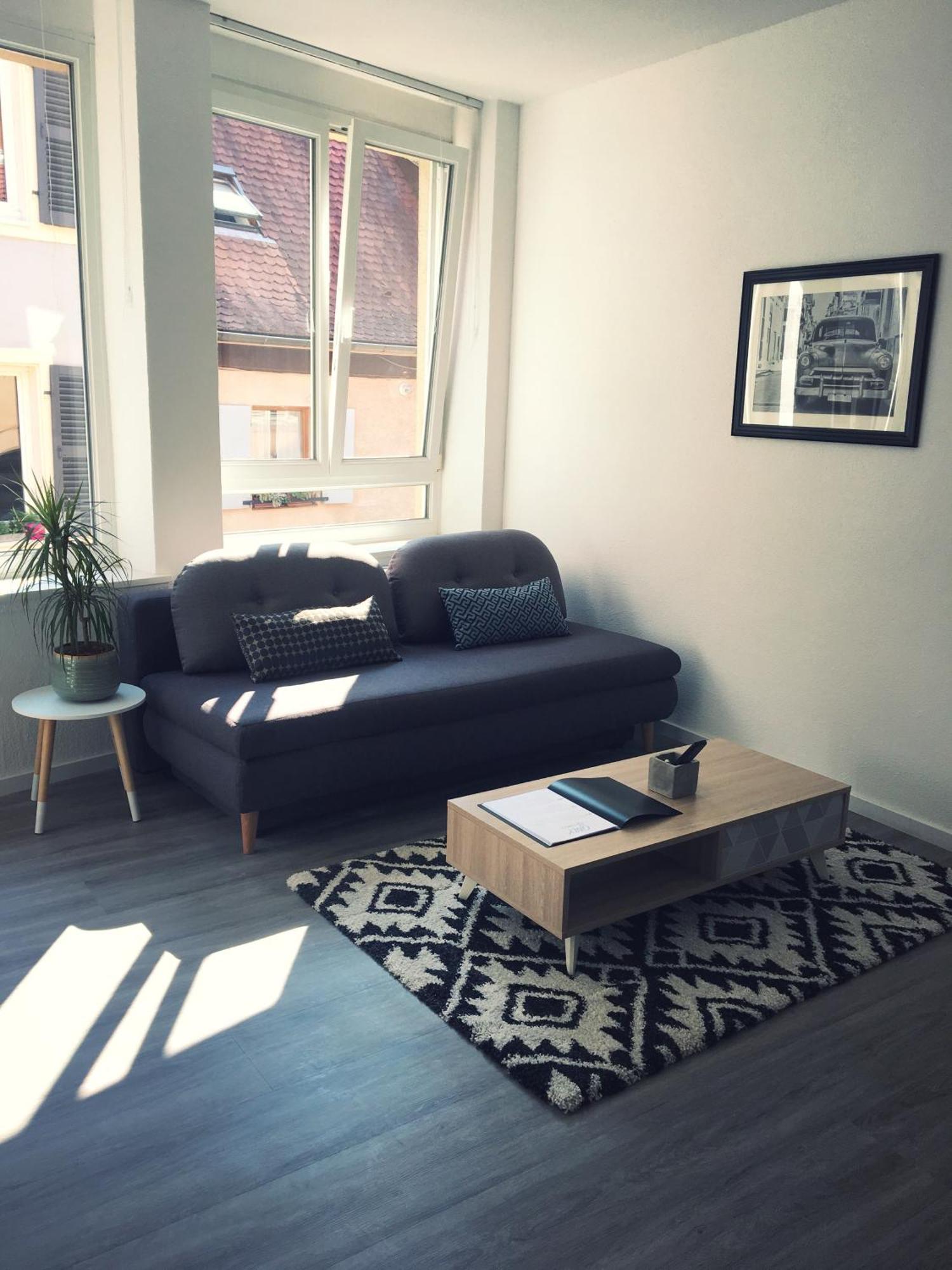 L'Ours Apartment Colmar Ngoại thất bức ảnh